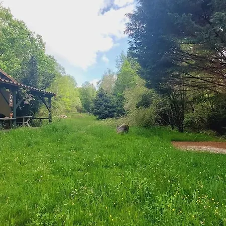 Rustique - Perigord - La Collina 24300 Hébergement de vacances *